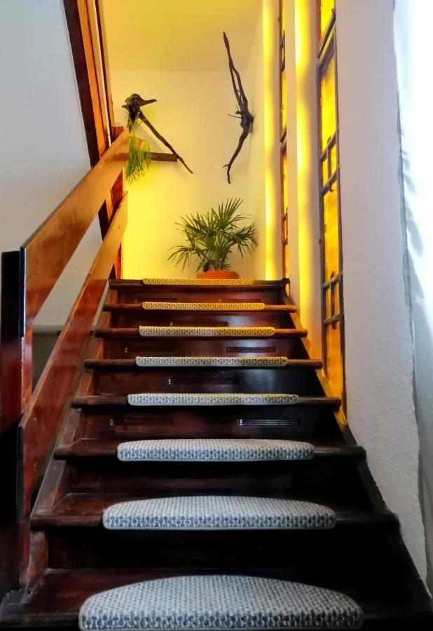 Apartament Sarco Villa Vatra Dornei Luaran gambar